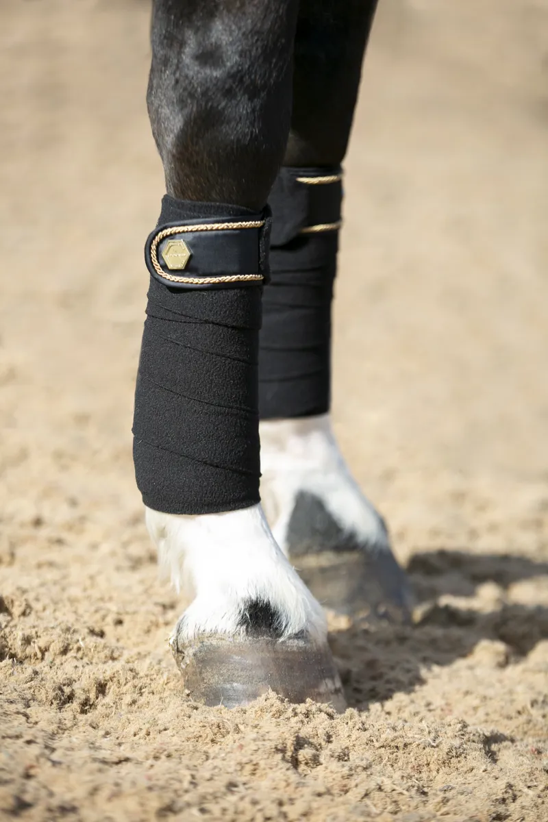 Coldstream Marygold Bandages - Black-1